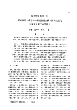 都市施設・構造物の耐震性再点検と耐震性強化 に関する若干の問題点
