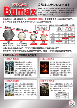 高強度ステンレスボルト ブマックス