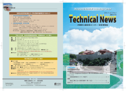 テクニカルニュース49号（PDF：3965KB） - 沖縄県