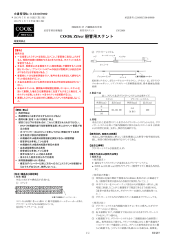 PDFファイル