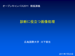 診断に役立つ画像処理： 川下 郁生 講師 - 広島国際大学シンボルマーク