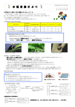水 稲 営 農 だ よ り