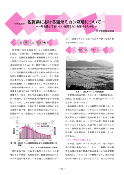 中社200611「佐賀県における温州ミカン栽培について」