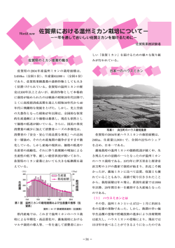 中社200611「佐賀県における温州ミカン栽培について」