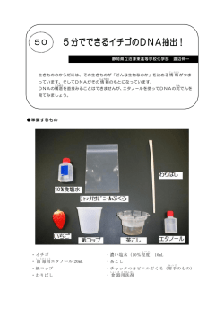 5 分でできるイチゴのDNA抽出！