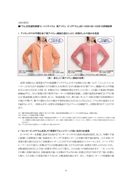 詳細資料［PDF］