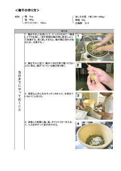 梅干し作り作業工程表（PDF形式 669.4KB）