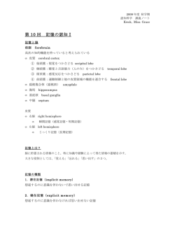 講義ノート - 認知科学