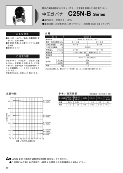 中圧ガバナ C25N-B Series