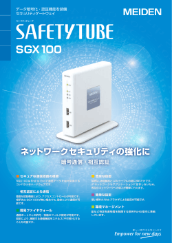 SGX100 - SAFETYTUBE ｜ネットワークセキュリティゲートウェイ
