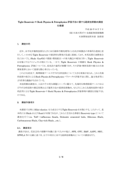 仕様書（PDF:168KB） - 石油天然ガス・金属鉱物資源機構