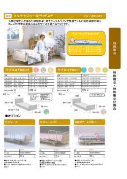 マルチモジュールベッドコア ＜シーホネンス＞