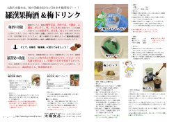 羅漢果梅酒 ＆梅ドリンク - オーガニック・自然食品
