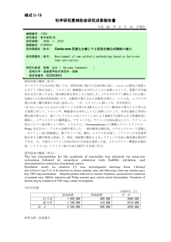 様式 C-19 科学研究費補助金研究成果報告書 - KAKEN - 科学研究費