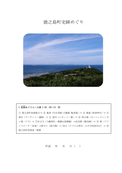 町内史跡めぐり（PDF：954KB） - 徳之島町
