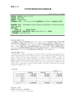 様式 C-19 科学研究費補助金研究成果報告書 - KAKEN - 科学研究費