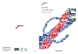 中国電力は今（2013-2014）