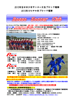 2013年全日本少年サッカー大会ブロック優勝 2013年さわやか杯ブロック