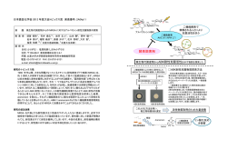 微生物代謝産物からのMRSAに対するアルベカシン  - 日本農芸化学会