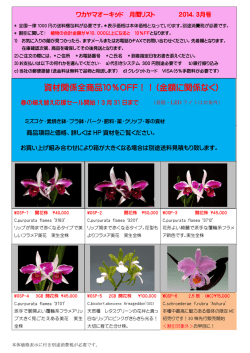 資材関係全商品10％OFF！！（金額に関係なく） - ワカヤマオーキッド