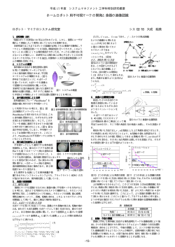 ロボット･マイクロシステム研究室 (pdf ファイル 6012KB，15～31ページ