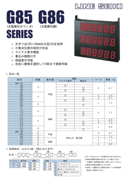 （大型表示カウンタ） （大型表示器） マイナス表示機能 文字寸法100