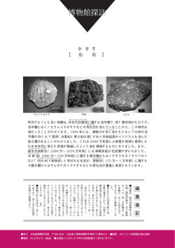 博物館探訪
