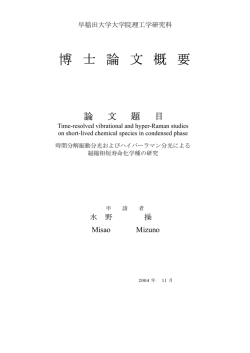 博 士 論 文 概 要 - 早稲田大学