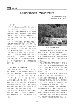 小豆島におけるオリーブ栽培と試験研究 - 日本特産農作物種苗協会