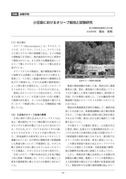 小豆島におけるオリーブ栽培と試験研究 - 日本特産農作物種苗協会