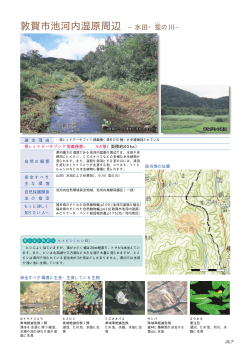p23-30.pdf (484KB) - 福井県自然保護センター
