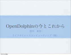 openDolphinの今とこれからpdf - Seagaia Meeting