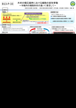 ～年輪内の細胞形状の違いに着目して～