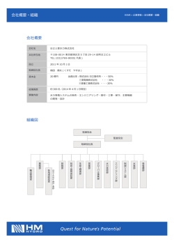 会社概要・組織 会社概要 組織図 - 日立三菱水力株式会社