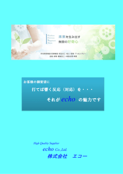 株式会社エコー(echo)