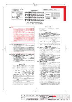 PDFファイル