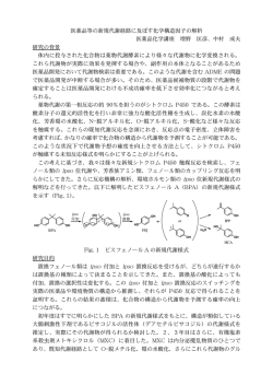 医薬品等の新規代謝経路に及ぼす化学構造因子の解析 医薬品化学