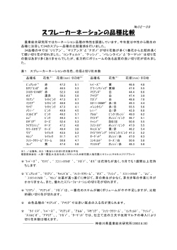 スプレーカーネーションの品種比較 - 神奈川県