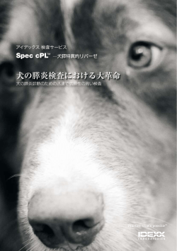 犬膵特異的リパーゼ - アイデックス ラボラトリーズ