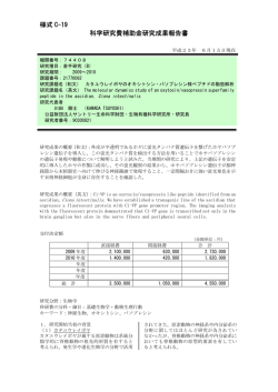 様式 C-19 科学研究費補助金研究成果報告書 - KAKEN - 科学研究費