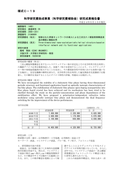 研究成果報告書 - KAKEN - 科学研究費助成事業データベース