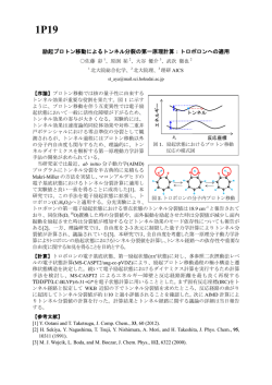 励起プロトン移動によるトンネル分裂の第一原理計算  - 理論化学研究会