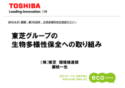 藤枝 一也委員／（株）東芝 （PDF:740KB