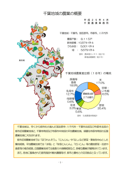 千葉地域の概要（PDF：629KB）