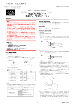 PDFファイル