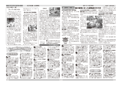 アドプト団体ガイド、プロが教えるおうちケア [745KB pdfファイル] - 狛江市