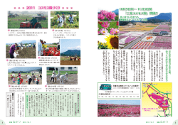三光コスモス園 - 中津市