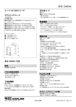 形式：SMDM - M-System