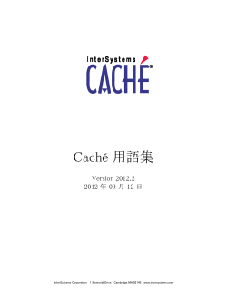 Caché 用語集 - InterSystems
