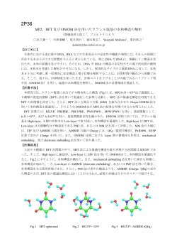 MP2、DFT 及び ONIOM 法を用いたウラシル塩基の水和構造の解析